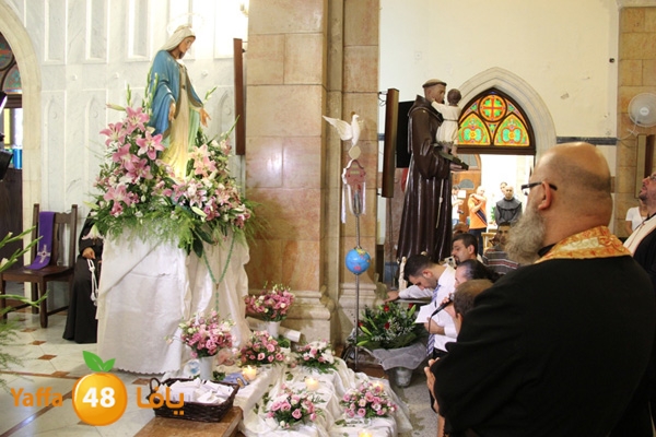 kanesa mo3jza824 (4).JPG